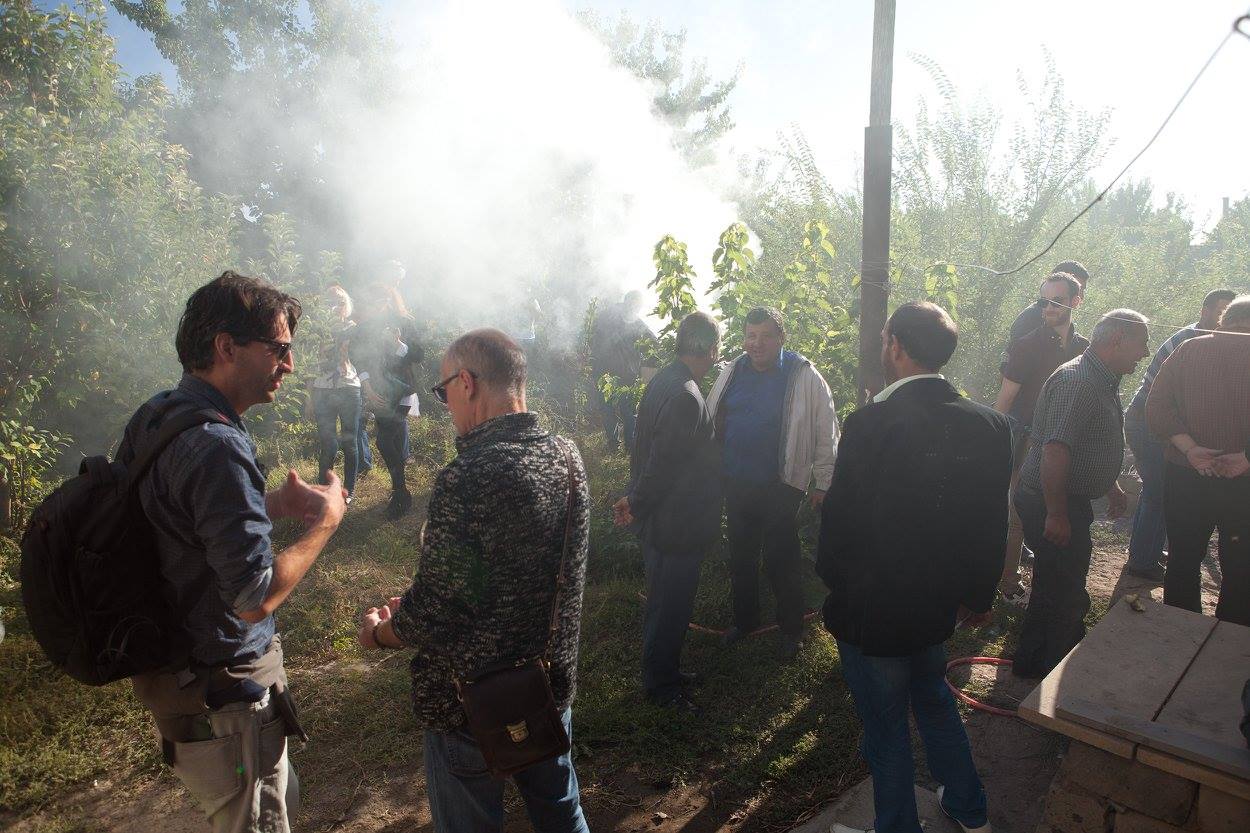 Ֆիլմարտադրություն